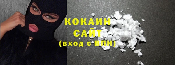 крисы Инта