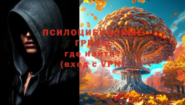 ПСИЛОЦИБИНОВЫЕ ГРИБЫ Каменка