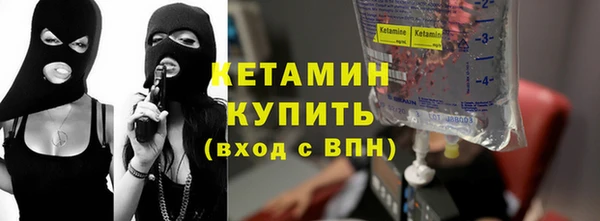крисы Инта