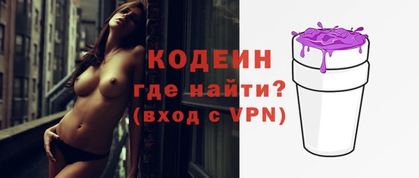 крисы Инта