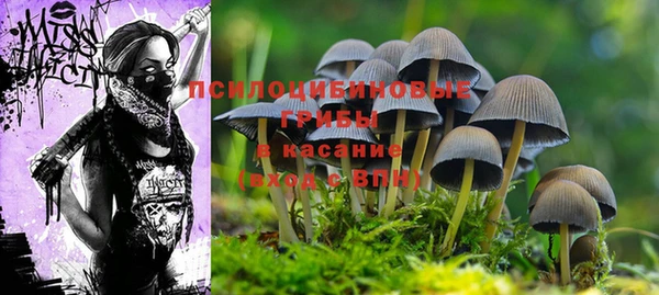 амф Иннополис
