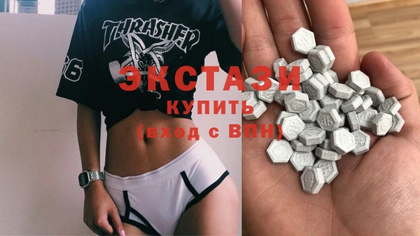 крисы Инта
