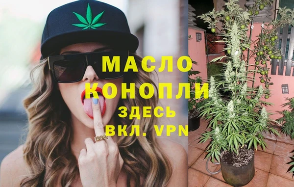 крисы Инта