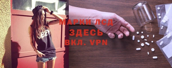 ПСИЛОЦИБИНОВЫЕ ГРИБЫ Каменка
