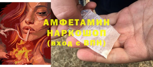 крисы Инта