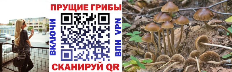 Псилоцибиновые грибы прущие грибы  Котельниково 