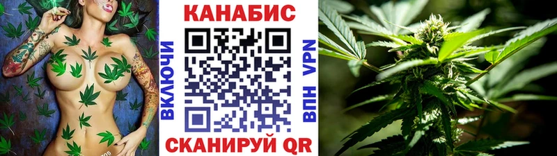 Конопля сатива  Котельниково 